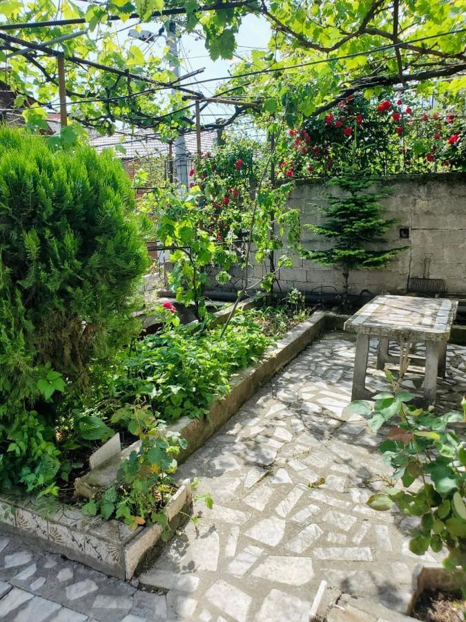 פוגרדץ Lake Ohrid Guesthouse "Villa Valentina" מראה חיצוני תמונה
